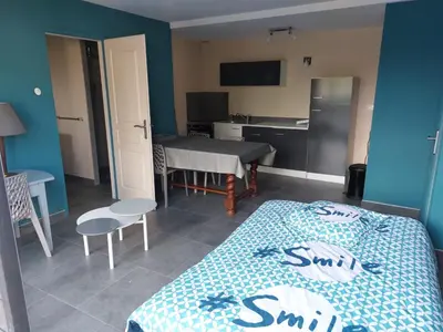 Cuisine ou kitchenette dans l'établissement Studio équipé de 30m2 - 6 min à pieds de CHU et faculté de médecine