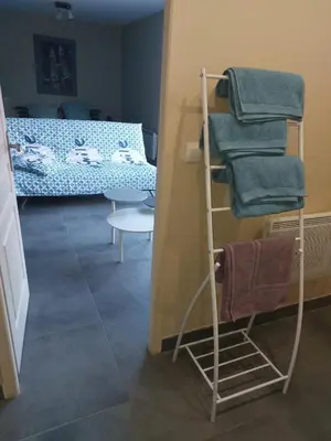 Un ou plusieurs lits dans un hébergement de l'établissement Studio équipé de 30m2 - 6 min à pieds de CHU et faculté de médecine