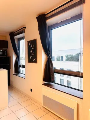 Cuisine ou kitchenette dans l'établissement Le Croix-Roussien - Apartment 30m2