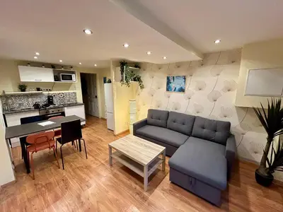Cuisine ou kitchenette dans l'établissement Appartement 2 chambres - proche Métro à 10min de Bellecour
