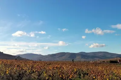Paysage naturel près de la maison de vacances