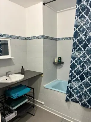 Salle de bains dans l'établissement Appartement Bron proche eurexpo et hôpitaux