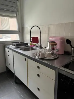 Cuisine ou kitchenette dans l'établissement Appartement Bron proche eurexpo et hôpitaux