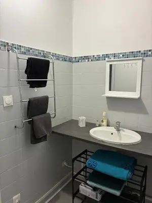 Salle de bains dans l'établissement Appartement Bron proche eurexpo et hôpitaux