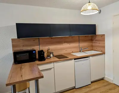 Cuisine ou kitchenette dans l'établissement Studio le Lagoon - Bourgoin Centre