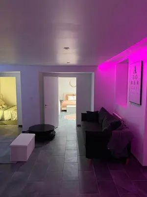 Coin salon dans l'établissement Cosy Home avec Spa - Proximité airport, CNPE, Eurexpo, Groupama Stadium, LYON