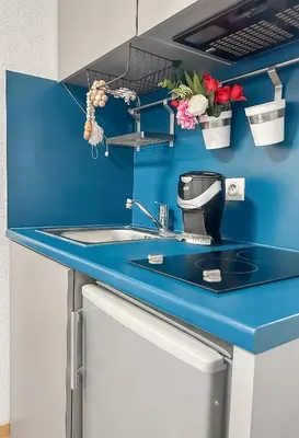 Cuisine ou kitchenette dans l'établissement Studio Aux Portes de Lyon