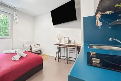 Télévision ou salle de divertissement dans l'établissement Studio Aux Portes de Lyon