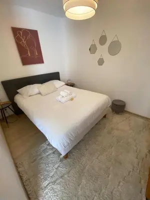 Un ou plusieurs lits dans un hébergement de l'établissement Cozy atmosphere 4pers near Eurexpo GroupamaStadium