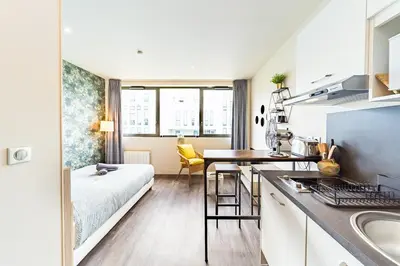 Cuisine ou kitchenette dans l'établissement Studio Tête d 'Or