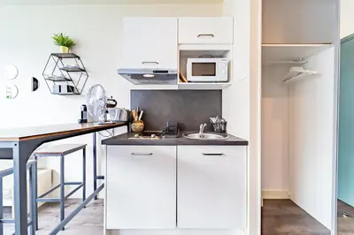 Cuisine ou kitchenette dans l'établissement Studio Tête d 'Or