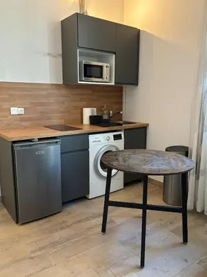 Cuisine ou kitchenette dans l'établissement Suite Lyon Coeur Monplaisir
