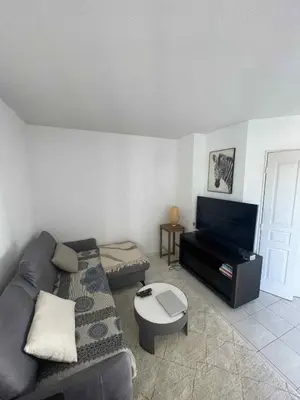 Coin salon dans l'établissement Superbe appartement à Lyon8 avec 2 balcons