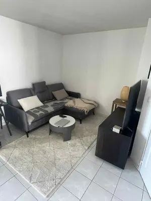 Coin salon dans l'établissement Superbe appartement à Lyon8 avec 2 balcons