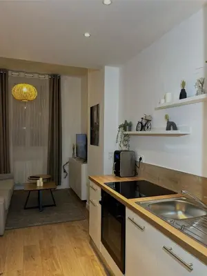 Cuisine ou kitchenette dans l'établissement appartement cosy