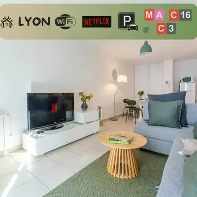 T2 Confort Lyonnais Métro République Garage fermé