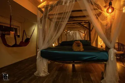 Plan de l'établissement Love Room SPA JACUZZI SAUNA et DONJON - Tanière Dé-Plaisirs