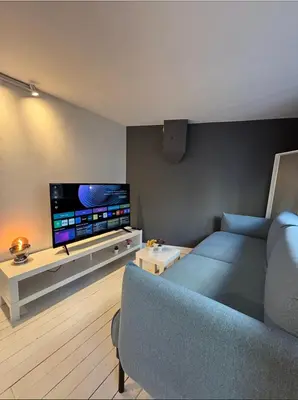 Télévision ou salle de divertissement dans l'établissement Le Cosy Terreaux