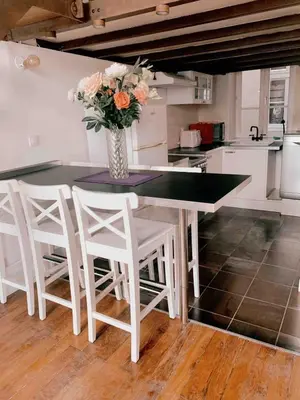 Cuisine ou kitchenette dans l'établissement Cozy Loft City Center Croix-Rousse