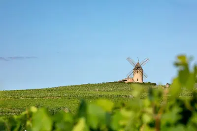 Paysage naturel près de l'appartement