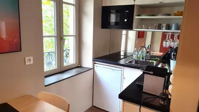 Cuisine ou kitchenette dans l'établissement LET'S Studio L'Escale in Lyon