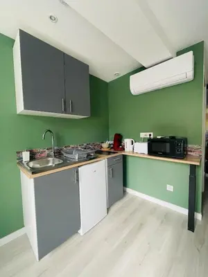 Cuisine ou kitchenette dans l'établissement Éclat St Romain n1, 6 pers, moderne, wifi, parking, proche vienne