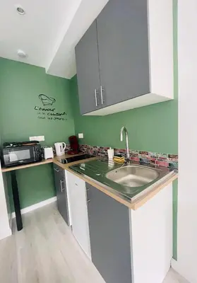 Cuisine ou kitchenette dans l'établissement Éclat St Romain 2, studio-moderne-WIFI- parking - CLIM