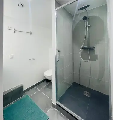 Salle de bains dans l'établissement Éclat St Romain n3, duplex - moderne - WIFI - CLIM- proche Vienne