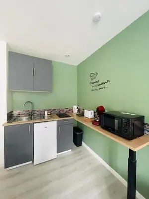 Cuisine ou kitchenette dans l'établissement Éclat St Romain n3, duplex - moderne - WIFI - CLIM- proche Vienne