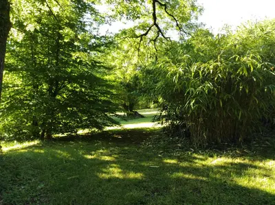 Jardin de l'établissement La cabane à cheval