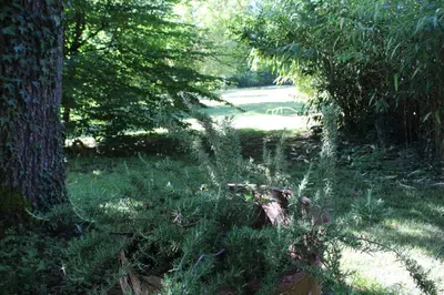 Paysage naturel près de le camping