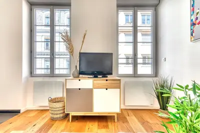 Télévision ou salle de divertissement dans l'établissement Le Martini - Clim mobile - studio au Brotteaux Métro B