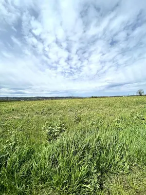 Paysage naturel près de l'appartement