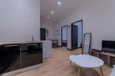 Cuisine ou kitchenette dans l'établissement Royal Suite - Villeurbanne centre