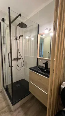 Salle de bains dans l'établissement Petit appartement cosy Miribel