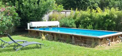 Piscine de l'établissement Spacious renovated villa Groupama Stadium LDLC ou située à proximité