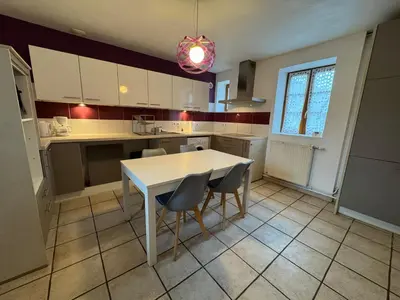 Cuisine ou kitchenette dans l'établissement Spacious renovated villa Groupama Stadium LDLC