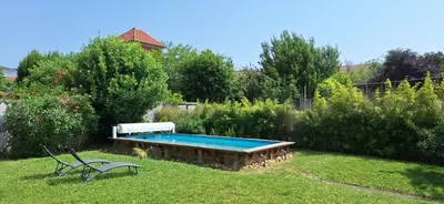 Piscine de l'établissement Spacious renovated villa Groupama Stadium LDLC ou située à proximité