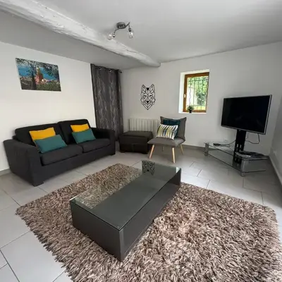 Spacious renovated villa Groupama Stadium LDLC