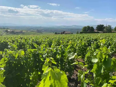 Paysage naturel près de l'appartement