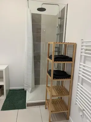 Salle de bains dans l'établissement Zenith St Étienne Appartement