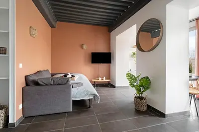 Télévision ou salle de divertissement dans l'établissement Superbe T3 avec vue imprenable sur le Rhône
