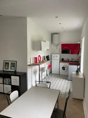 Cuisine ou kitchenette dans l'établissement Appartement collonges bord de Saône