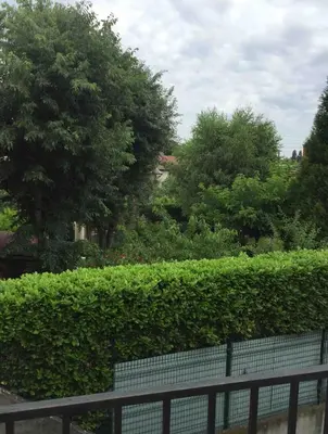 Jardin de l'établissement Studio cosy Lyon