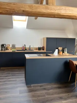 Cuisine ou kitchenette dans l'établissement Superbe appartement en pierres