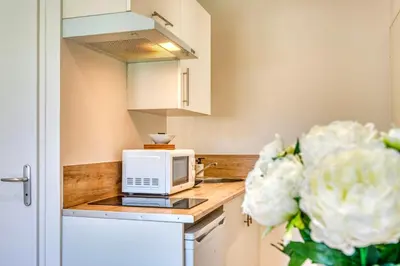 Cuisine ou kitchenette dans l'établissement Le Basalte - Lumineux studio - parking privé - wifi - proche métro B