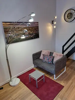 Coin salon dans l'établissement Studio cosy entièrement rénové à deux pas de Lyon