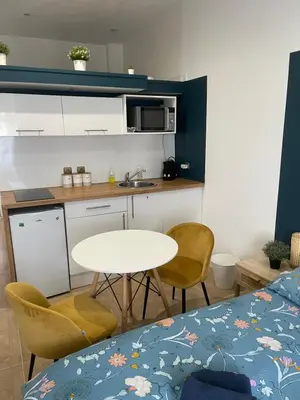 Cuisine ou kitchenette dans l'établissement CHARMANT STUDIO proximité GARE LYON PART-DEU