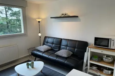 Coin salon dans l'établissement Appartement Lyon 8 proche métro