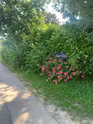 Jardin de l'établissement Sur côte en Dombes